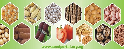 Nigerian Seed Portal Banner